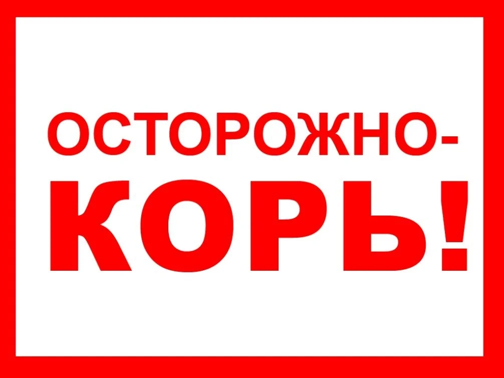 Внимание! Корь!