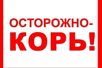Внимание! Корь! Внимание! Корь!