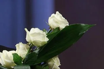 Добрые слова врачам